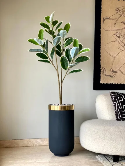 Artificial Variegated Rubber Plant - 5 Feet